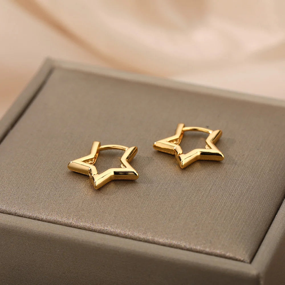 Women Earrings Stainless Steel