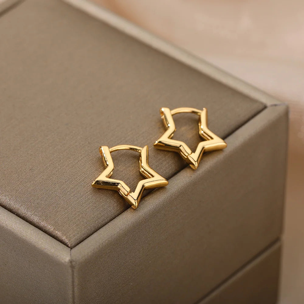 Women Earrings Stainless Steel