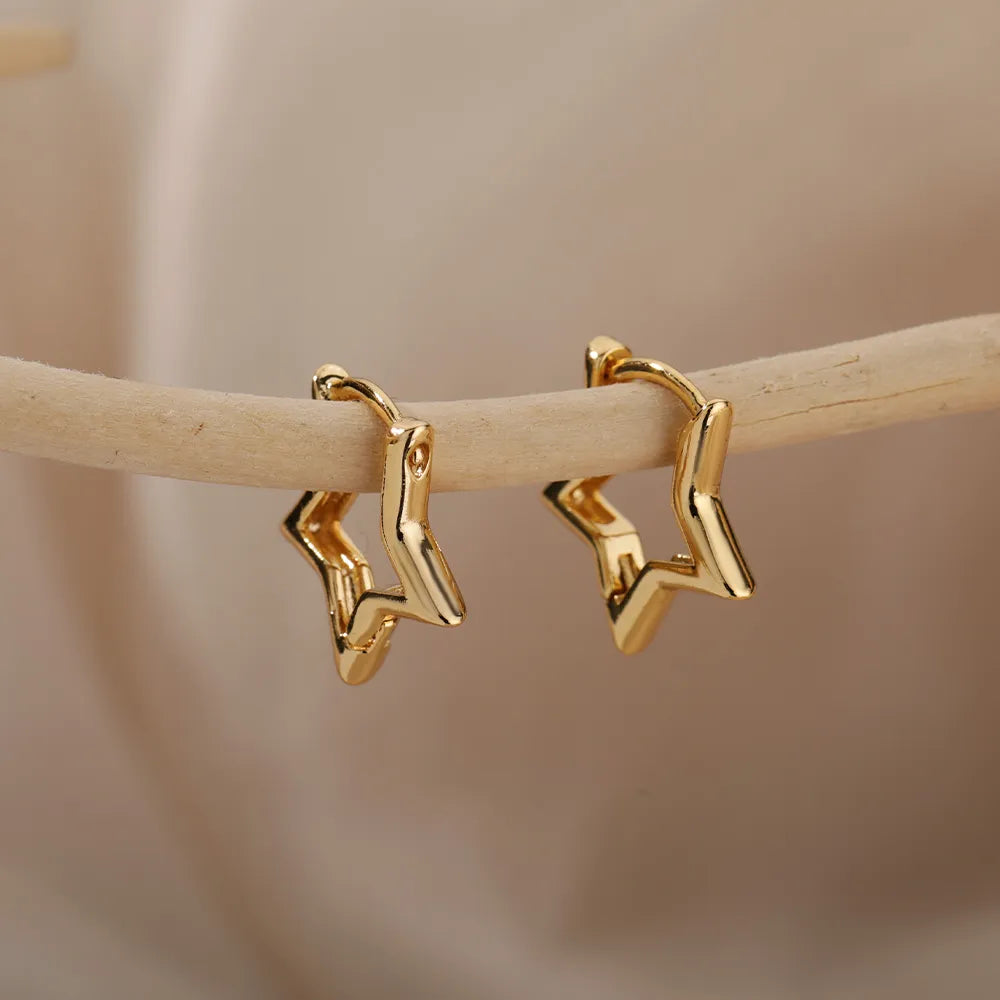 Women Earrings Stainless Steel