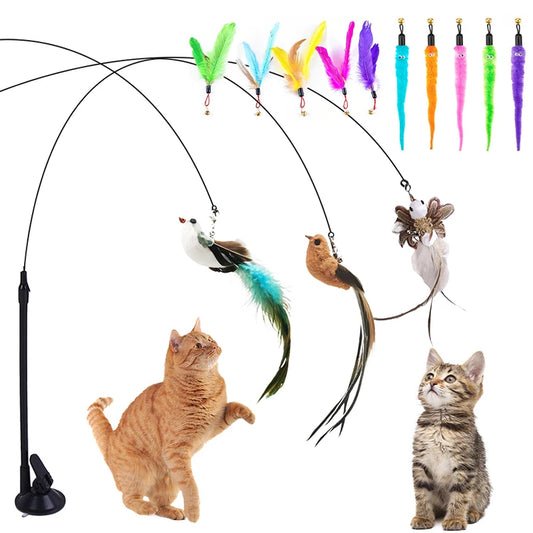 Accessori per gatti